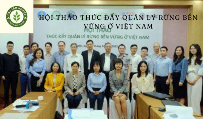 Hội thảo Thúc đẩy quản lý rừng bền vững ở Việt Nam